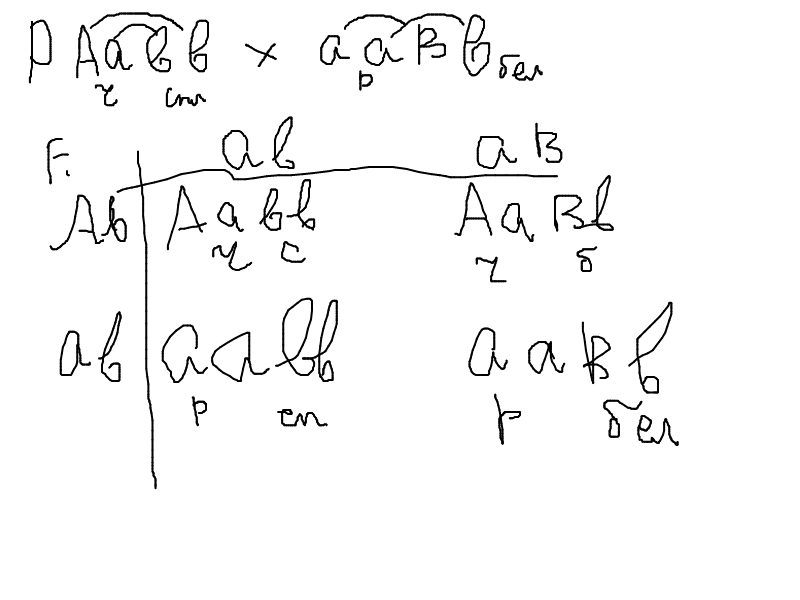 Какое потомство можно